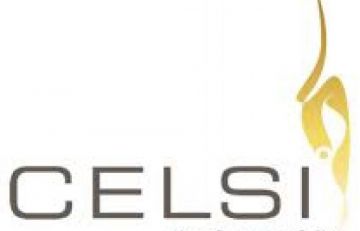 Celsi Free Standing Stoves